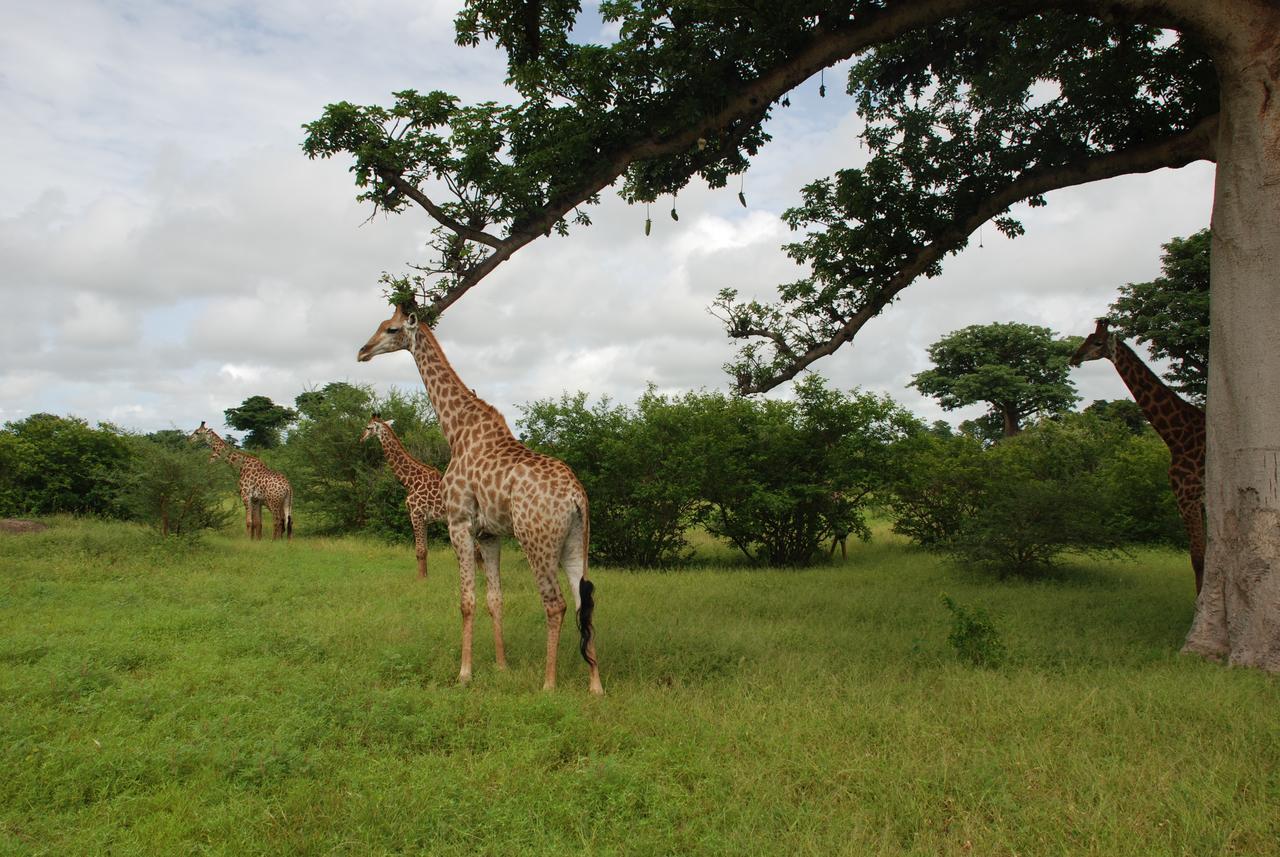 Safari Village Saly Bagian luar foto